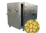 Alpine Food Vegetable Freeze Dryer Breast Milk Versatile -50C-80C