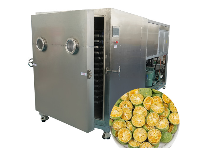Automatic Electric Freeze Dryer With Leybold Refrigeration Unit