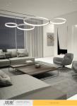 Aluminum lamp body simple, warm, two color, fantastic concept Chandelier
