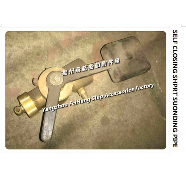 China SELF CLOSING SHPRT SUONDING PIPE 50A factory