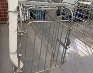 China 0.65m/0.60m Width Pig Raising Equipment Farrowing House For Pigs Acid Resistance factory