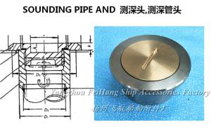 China Stainless steel sounding head A100 CB/T3778-99 factory