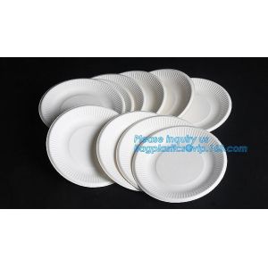 eco sugarcane pulp disposable biodegradable plate,Factory 100% Biodegradable