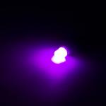 Powerful T10 Led Bulb High Bright Perfect For Car Interior Light