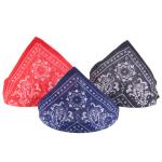 Collar Triangle ABS 100g Odm Design Cat Scarf