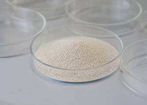 China Food Grade Lactase Bio Enzymes For Wastewater Treatment Used To Produce Low-Lactose factory