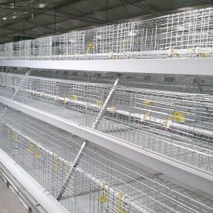 China Automatic 3 Tier Animal Cage , 96 - 120 Birds Broiler Cage System For Farm factory