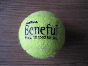 China nassau tennis balls factory