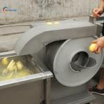100Kg/H Semi Automatic Frozen French Fries Production Line With Electric Heating