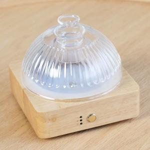China Solid Wood Glass Aroma Diffuser▕ DN-839 factory