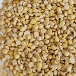 ISO HACCP Certificate Mung Bean Powder Yellowish with 85% Protein