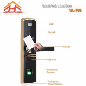 High Efficiency Smart Card Door Lock with Fingerprint Recognition