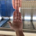 0.25mm Cold Rolled DIN Stainless Steel Sheet 304 316 310S For Industrial Use