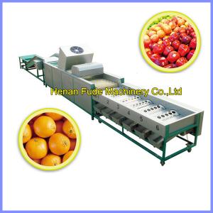 China citrus orange cleaning, wax polishing ,grading machine factory
