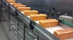 Customized Stainless Curved Conveyor