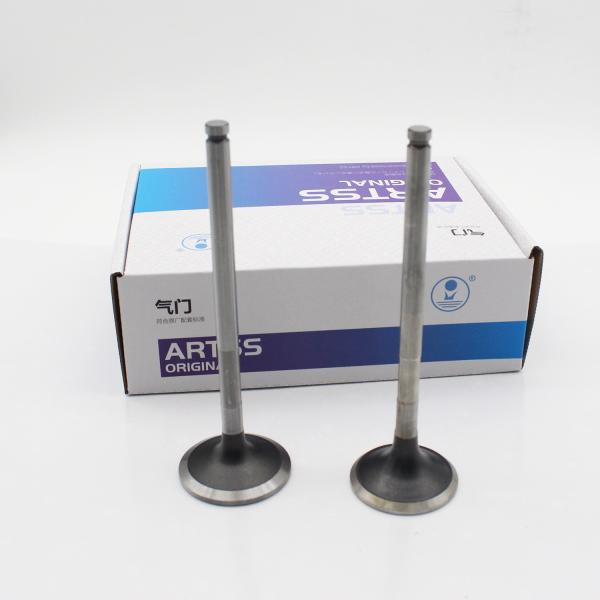 65.04101-0041 65.04101-0042 Diesel Engine Valve D1146 Intake Exhaust Valve For