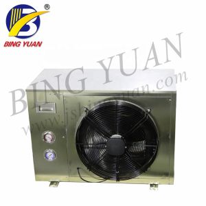 Air Cooling 380 Volt R404A Artificial Snowfall Machine