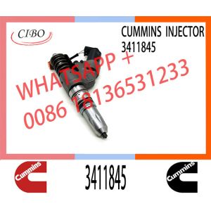 China Diesel Engine 3411845 4903084 3083863 3411752 3411761 4307547 4928171 3411753 3037772 fuel injector for Cum-mins M11 on sale
