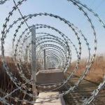 450mm Coil Diameter Razor Wire Fence Anti Theft High Security Beautiful
