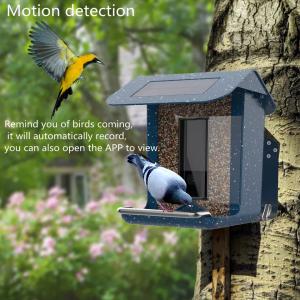 China Smart AI Wireless Wildlife Bird Feeder Camera Multi Purpose 1080HD Version factory