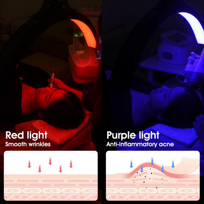 Whole Set LED Half Moon Light 60 Watt Skin Care 7500k Colour Changing Lamp For Nail Studio 3