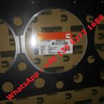 Hot Sell Cummins Qsx15 Isx15 diesel part Cylinder Head Gasket 4299098 3685834