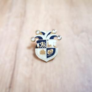 Exclusive Design Soft Enamel Colors with Epoxy Coated Carnival Metal Lapel Pin