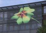 High Brightness Outdoor Transparent LED Display Screen 500mm X 1000mm Cabinet