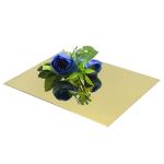 PVD Coating Mirror Finish Sheet Stainless Steel Decorative Plate