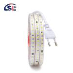 White 10mm 240leds 6500K Electroplate IP44 SMD2835 Led Strip Light High volt