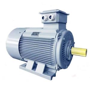 China 2 Poles 4 Poles 6 Poles 8 Poles IPMSM Motor 3 Phase Low Speed AC Motor factory