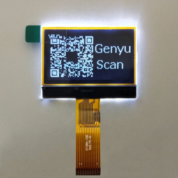 Dot Matrix Graphic LCD Display