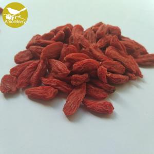 China Certificated Organic Dried Goji Berries From Ningxia Manufacturer Zhongning Wolfberry GOUQI factory