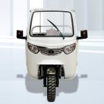 Standard Size 3 Wheel Gasoline 200cc/250cc/300cc Motorcycle Engine Cabin Cargo