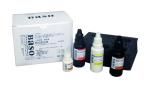 Flagella Stain Baso Clear Colourful Stains for Healthcare Facility
