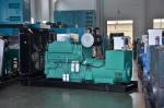 Affordable Natural Gas Whole Home Generator Power Plant 800kW 500kW 1MW for Home