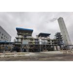 ZD-HW Hazardous Waste Incinerator Hydraulic Feeding For General Industrial Solid