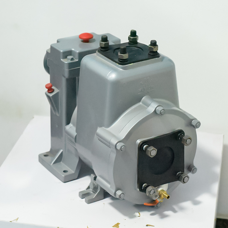 Liquid Transfer Carbon Steel Water Pump with Customized Support and ODM Support
