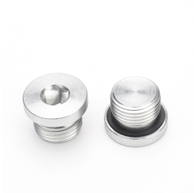 Plain Finish Hexagon Socket Pipe Plugs DIN906 for Building and Construction Projects