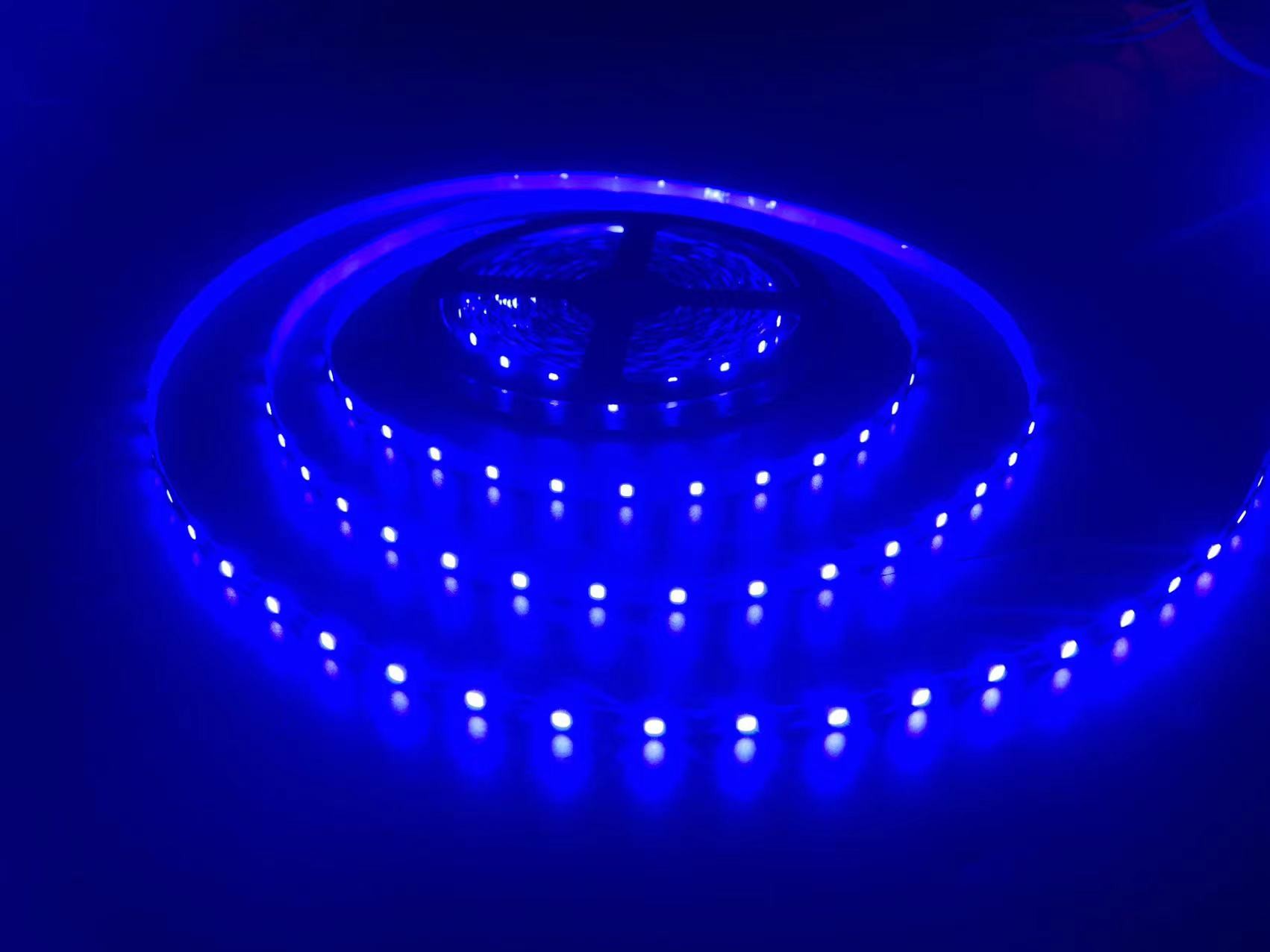 IP60 Outdoor Flexible LED Strip Lights SMD2835 Single Color LED Strip Light Tape