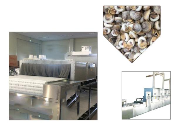 Soybean Belt Food Sterilization Equipment Tunnel Structure Stainless Steel