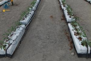 China Hydroponic Nutrients Planting Trough PP Roll Growing Gutter For Tomatoes factory