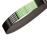 V-Ribbed Belt 01183136 01182558 0118 3136 0118 2558 1183136 0182558 For Deutz