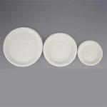 Food Catering Biodegradable Cornstarch Plates