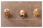IMPA23339 Marine Drain Ball Valve BRASS Body NPT Cover Stainless Steel Float
