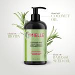 Mild Rosemary Mint Strengthening Hair Regrowth Shampoos With Biotin 12Oz
