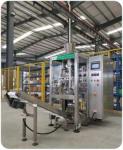 Large Lapel Packing Machine For Granules Powders Liquids