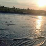 1mm 0.75mm Geomembrane Anti-uv Hdpe Pond Liner for Plastic Farm Tank Length 50m