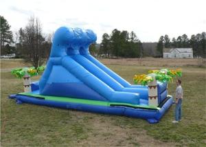 China PVC Tarpaulin Commercial Inflatable Slide , Renting Roaring River Slide factory