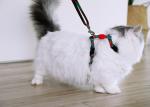 Sublimation Large Cat Harness And Leash Cat Halter For Walking